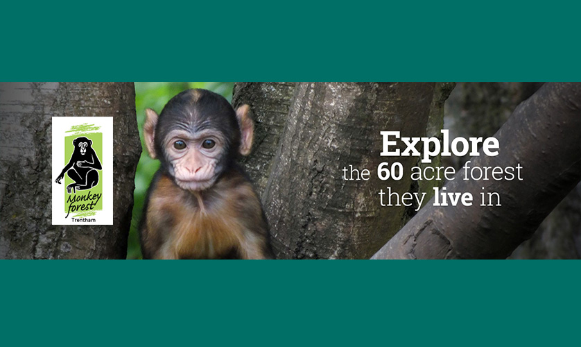 Halton Carers Centre trip to Trentham Monkey Forest