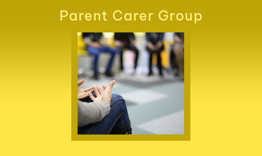Parent Carer Group