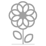 Former Carers